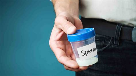 erkeklerde sperm sayısına nasıl bakılır